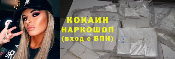 мет Инта