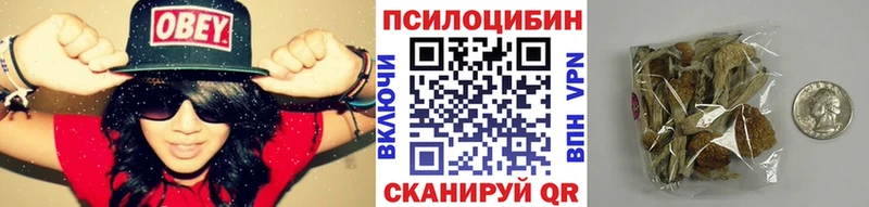 Купить где  Торжок  Галлюциногенные грибы MAGIC MUSHROOMS 